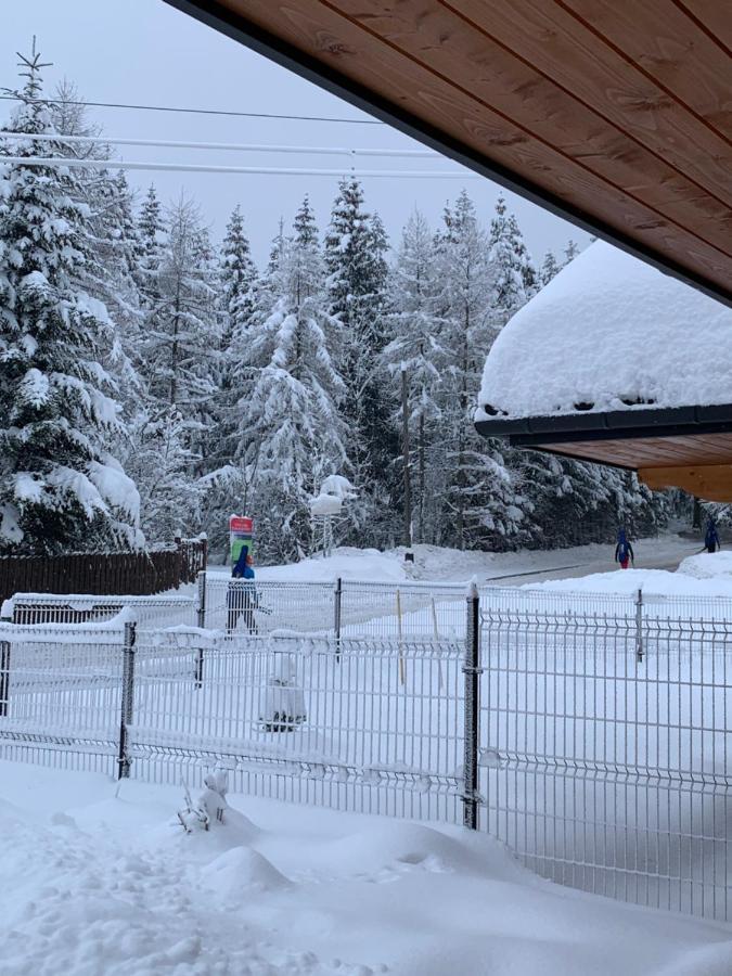 Punkt Koscielisko, Dom Gorski 800 M Od Doliny Koscieliskiej Exteriör bild