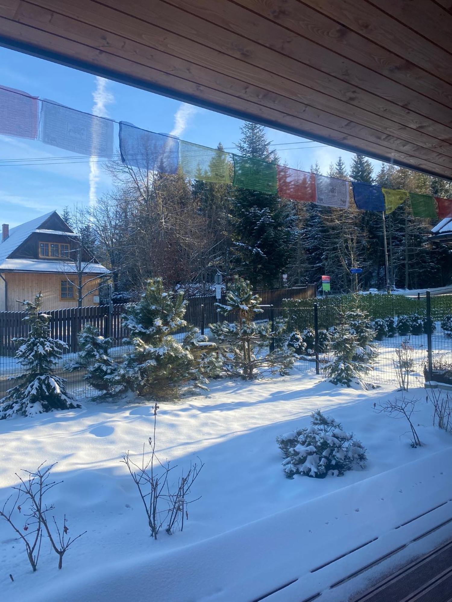 Punkt Koscielisko, Dom Gorski 800 M Od Doliny Koscieliskiej Exteriör bild